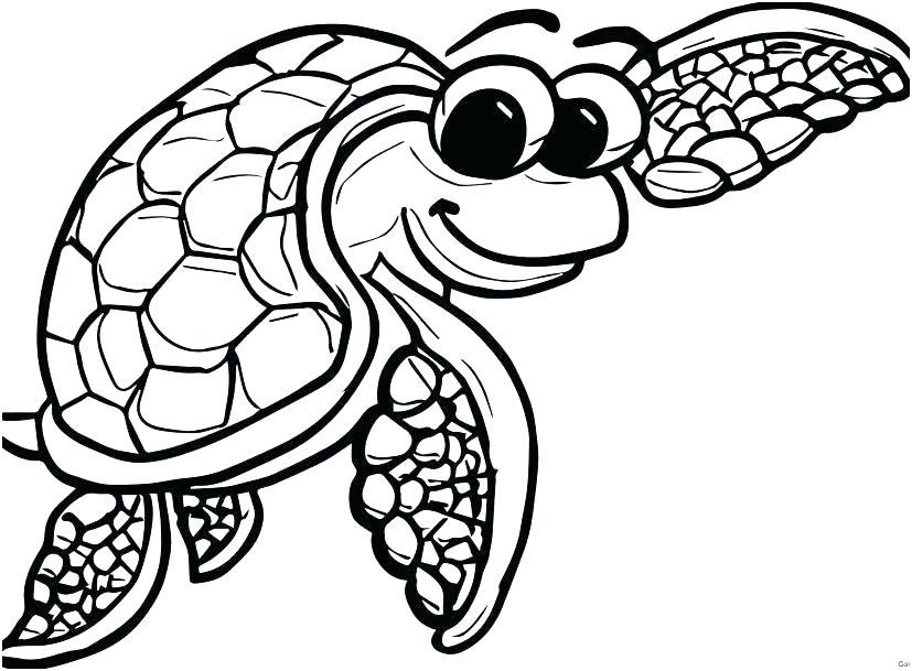 Realistic Sea Turtle Drawing | Free download on ClipArtMag