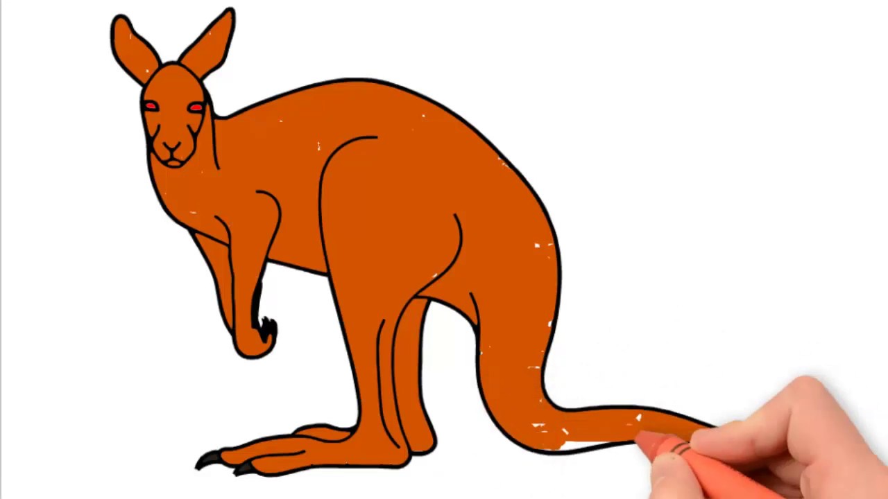  How To Draw A Kangroo in the year 2023 Check it out now 