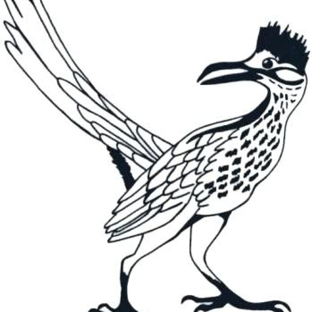 Roadrunner Drawing | Free download on ClipArtMag