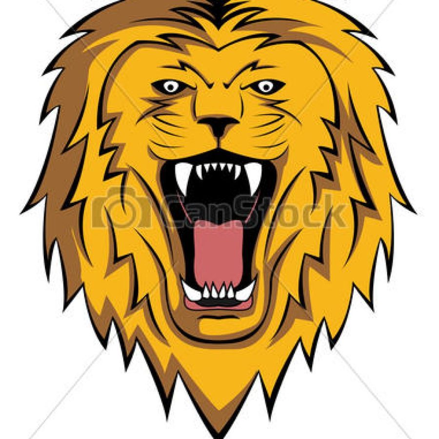 Roaring Lion Head Drawing | Free download on ClipArtMag