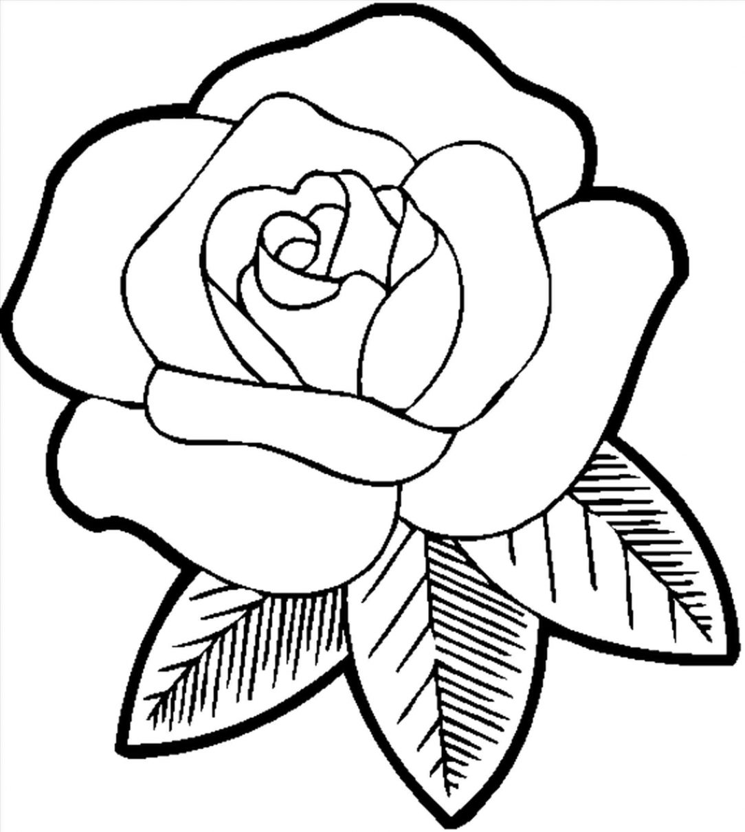 Rose Bush Drawing | Free download on ClipArtMag