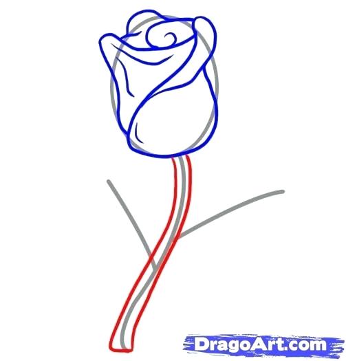 Easy Rose Drawing Tutorial | Free download on ClipArtMag