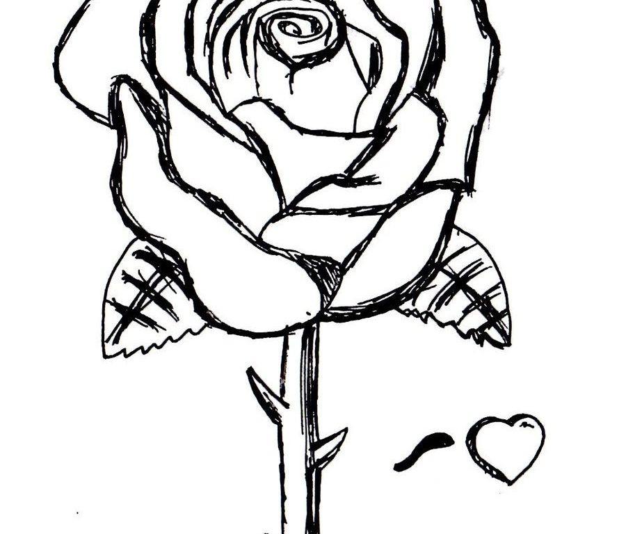 Rose Garden Drawing | Free download on ClipArtMag