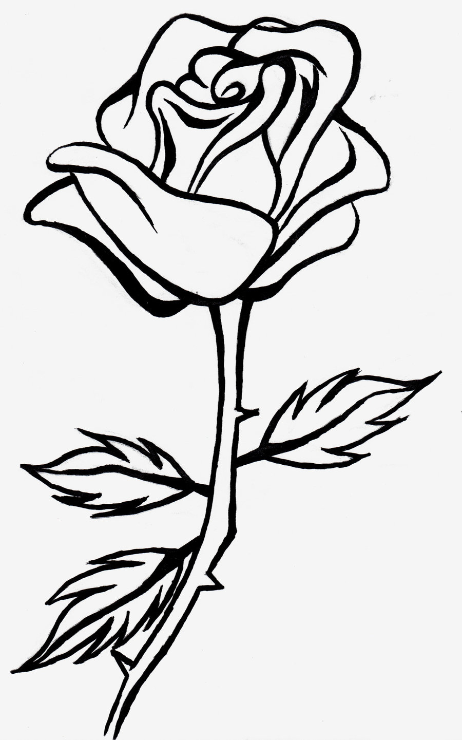Rose Outline Drawing Free download on ClipArtMag