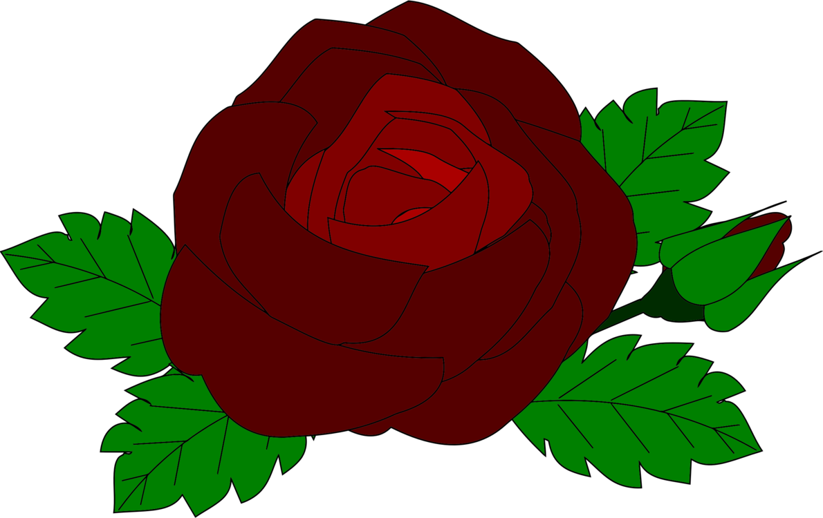 Rose Plant Drawing | Free download on ClipArtMag