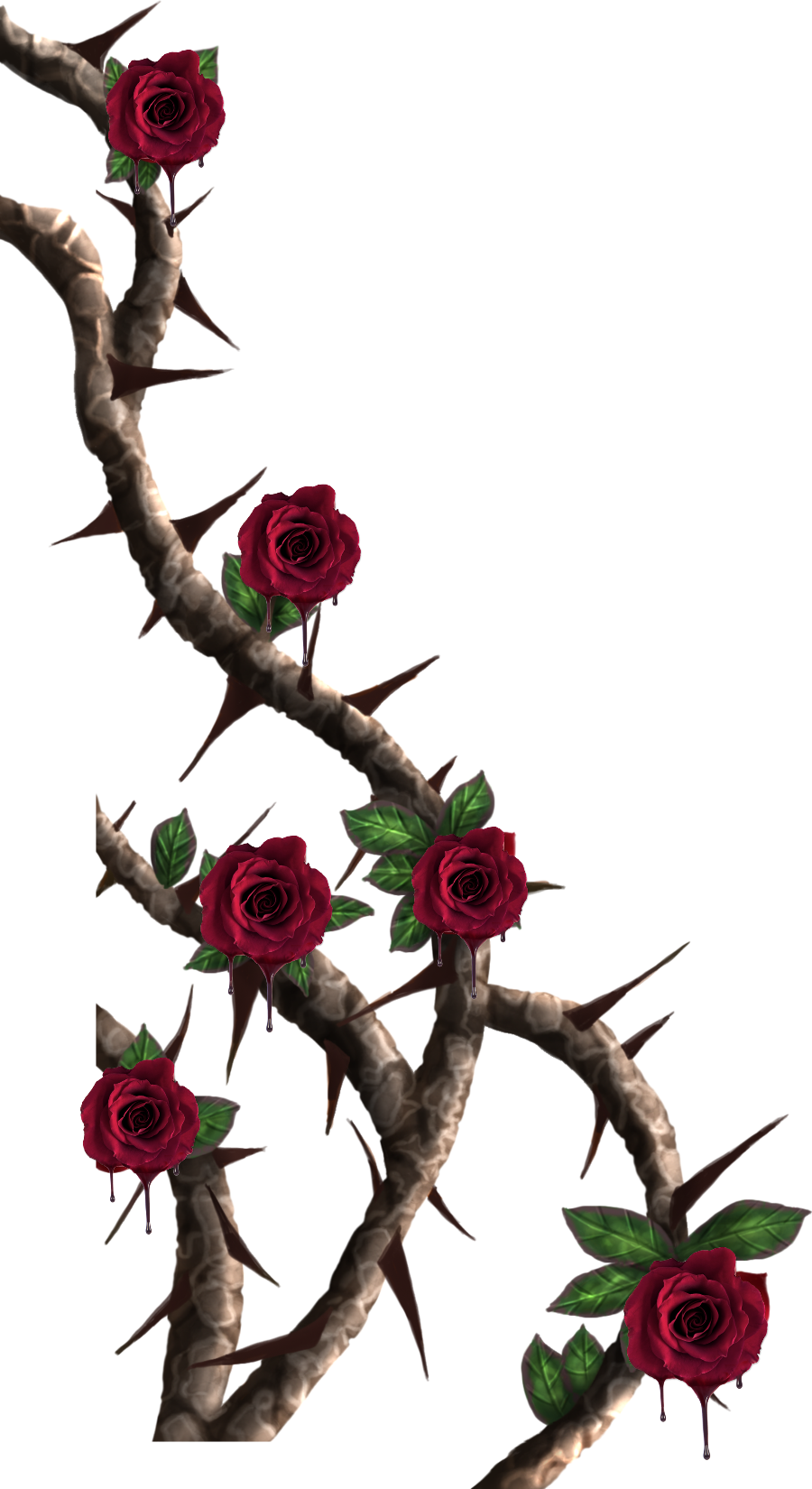 Rose Vine Drawing | Free download on ClipArtMag