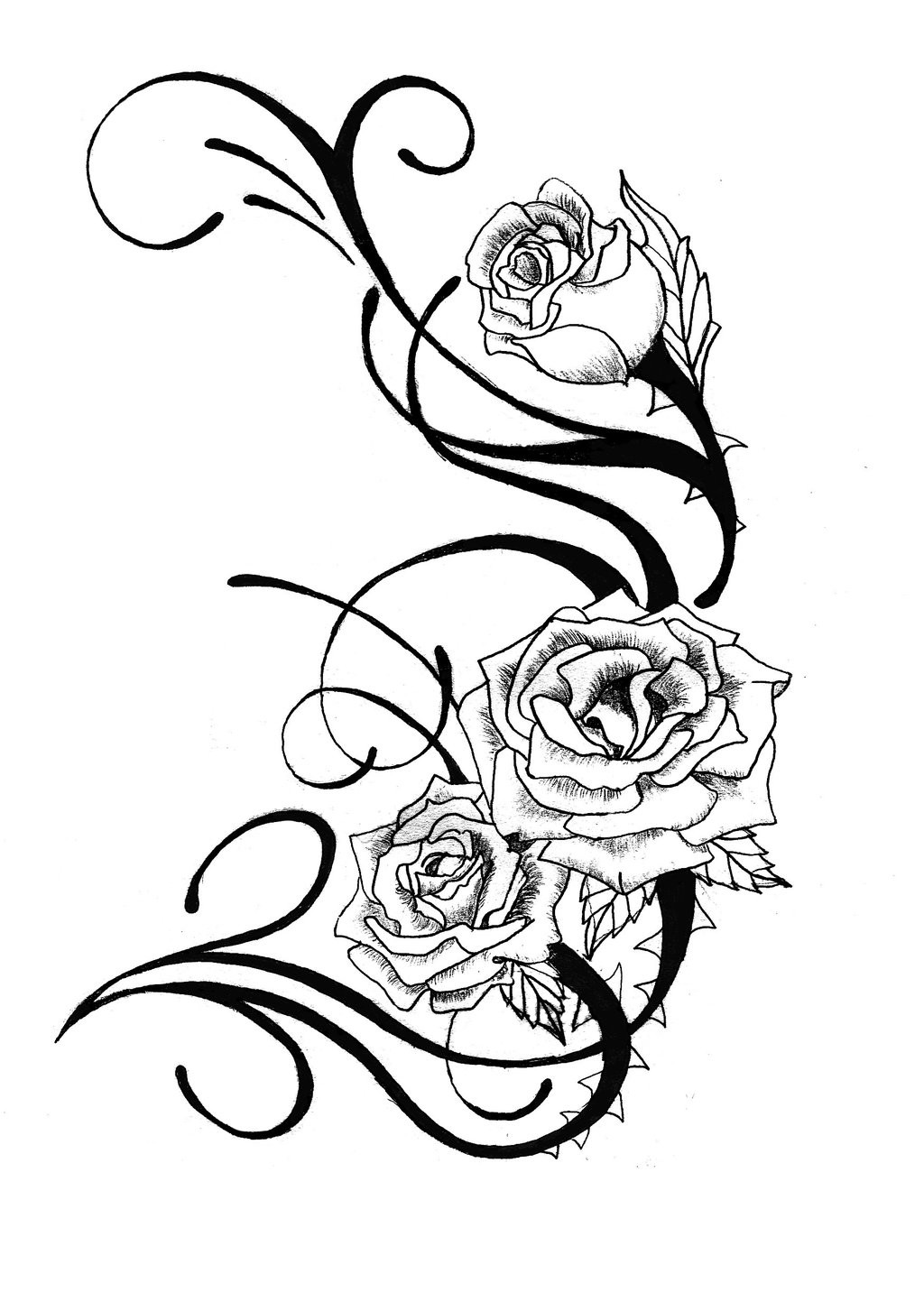 Rose Vine Drawing Designs | Free download on ClipArtMag