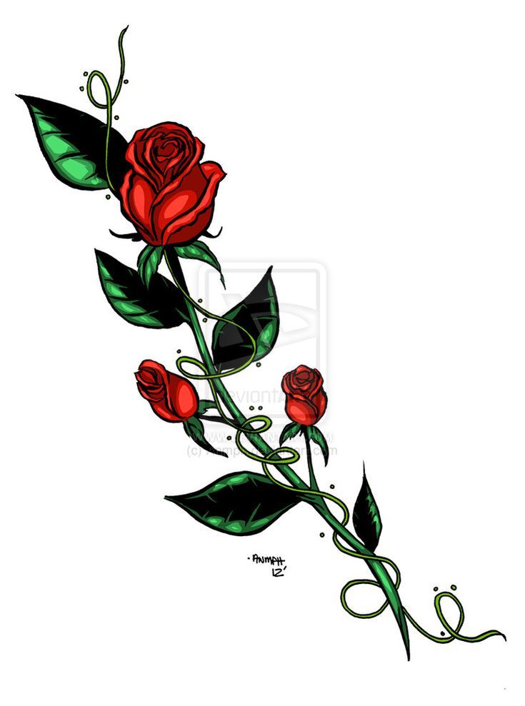 Rose With Thorns Drawing Free download on ClipArtMag