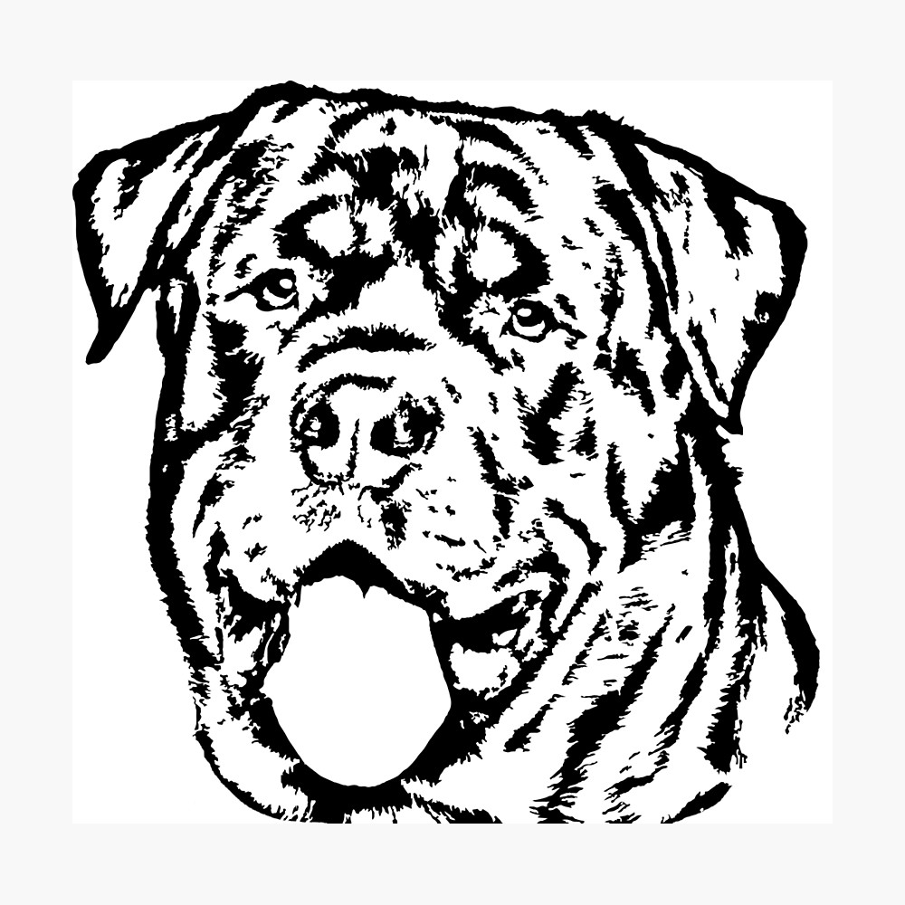 rottweiler-drawing-free-download-on-clipartmag