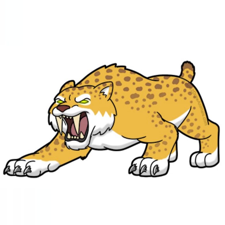 Saber Tooth Tiger Drawing Free download on ClipArtMag