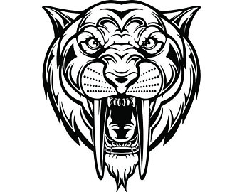 15+ Best New Saber Tooth Tiger Skull Drawing Easy | Invisible Blogger