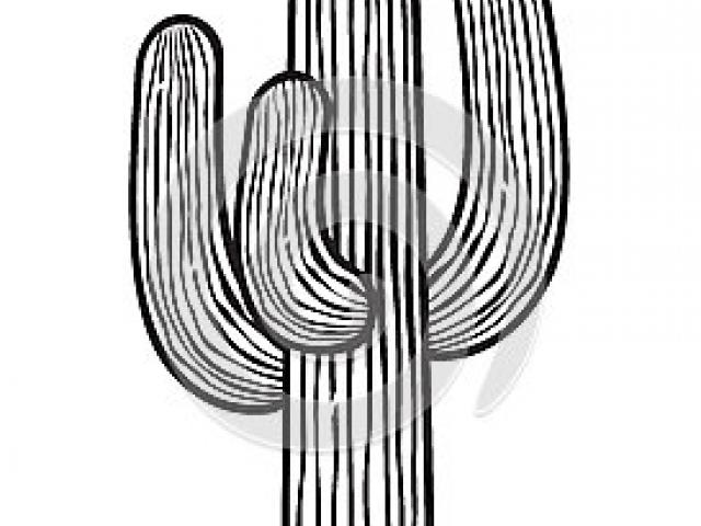 Saguaro Cactus Drawing | Free download on ClipArtMag