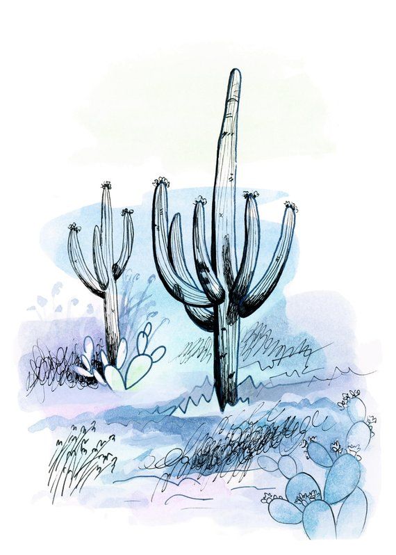 Saguaro Drawing Free download on ClipArtMag