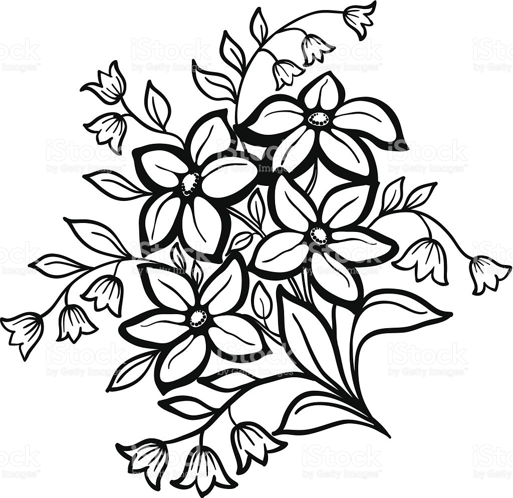 Featured image of post Sampaguita Drawing Png Our database contains over 16 million of free png images
