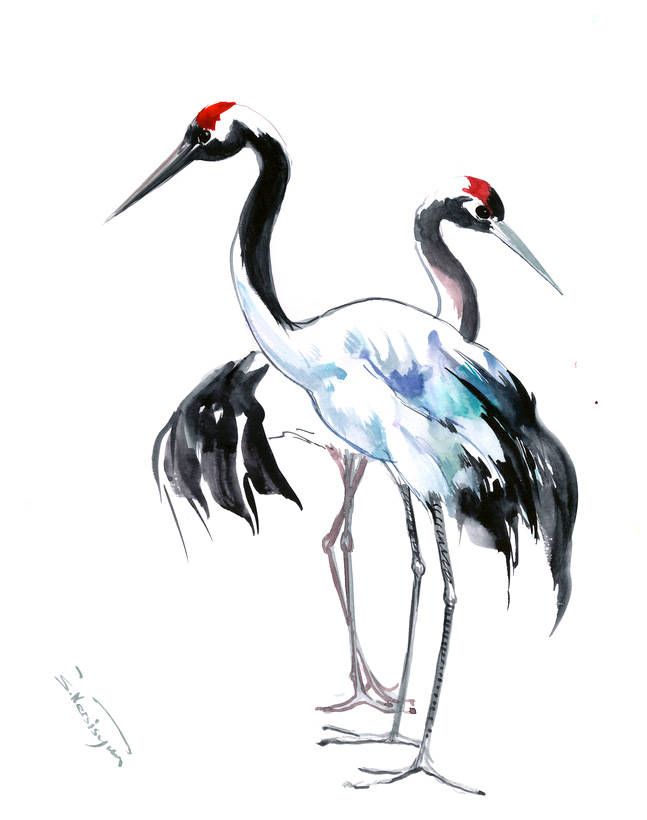 Sandhill Crane Drawing Free download on ClipArtMag