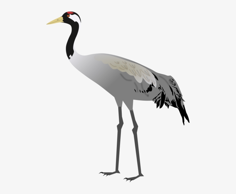 Sandhill Crane Drawing | Free download on ClipArtMag