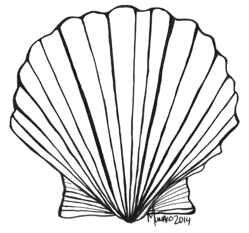 Sketch Of Scallop Coloring Pages