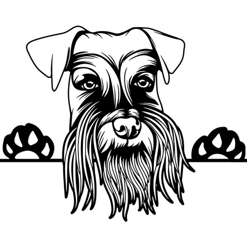 Schnauzer Line Drawing | Free download on ClipArtMag