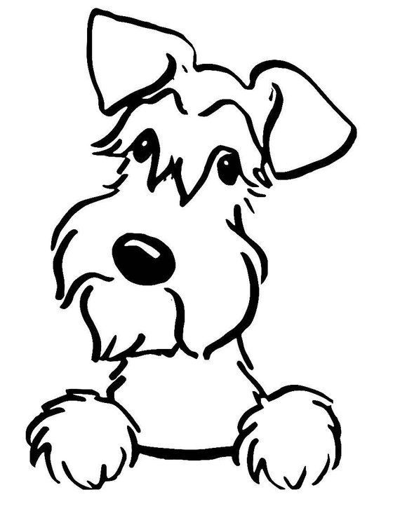 Schnauzer Line Drawing | Free download on ClipArtMag