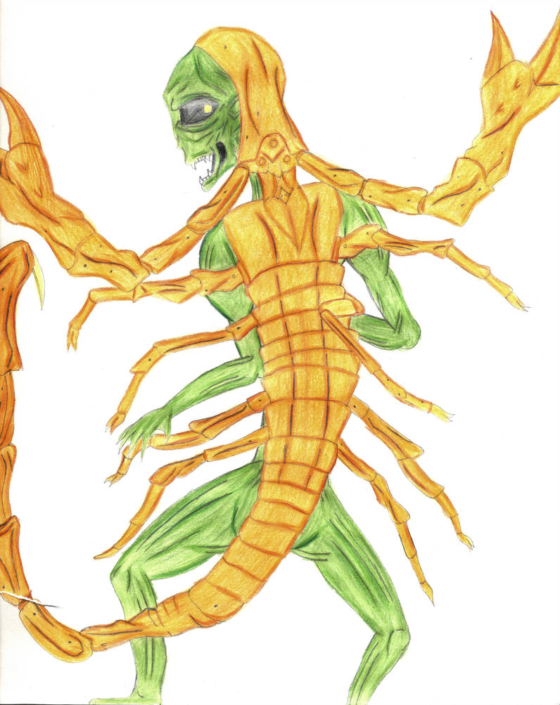 Scorpion Tail Drawing | Free download on ClipArtMag