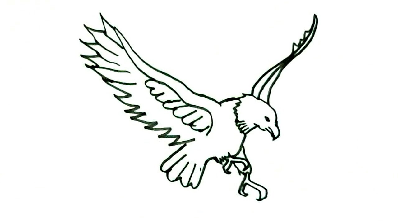 Sea Eagles Drawing | Free download on ClipArtMag