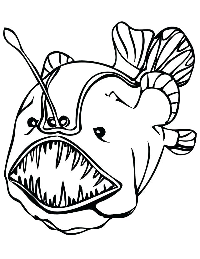 Sea Fish Drawing Free download on ClipArtMag