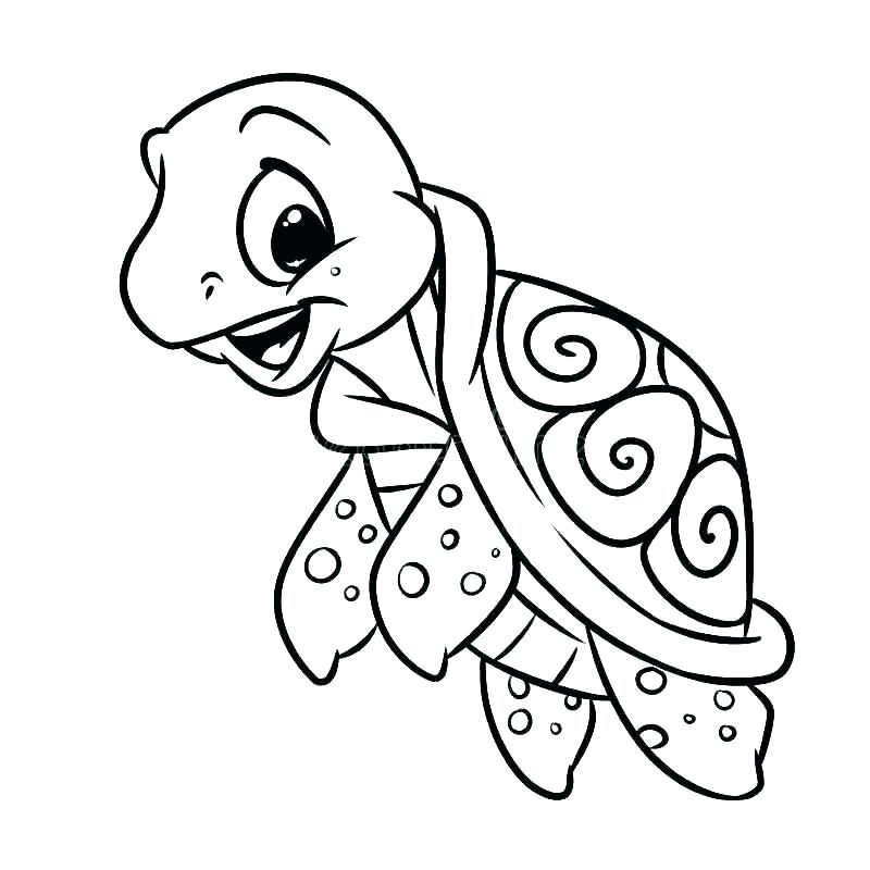 Sea Turtle Drawing Color Free download on ClipArtMag