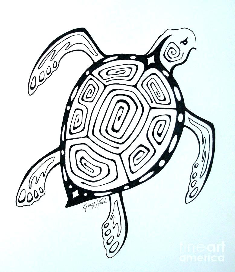 Sea Turtle Line Drawing | Free download on ClipArtMag