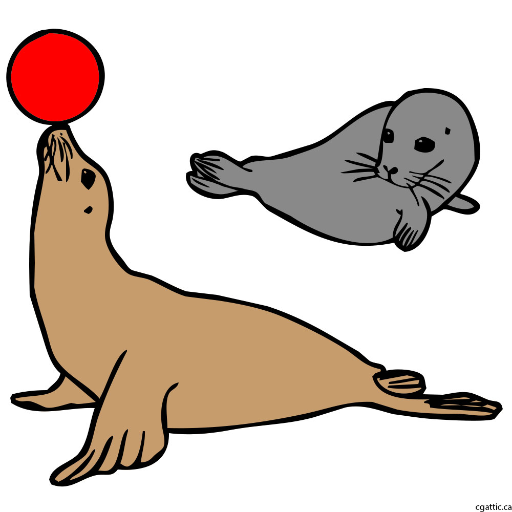 Seal Animal Drawing | Free download on ClipArtMag
