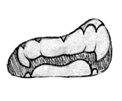 Sharp Teeth Drawing | Free download on ClipArtMag