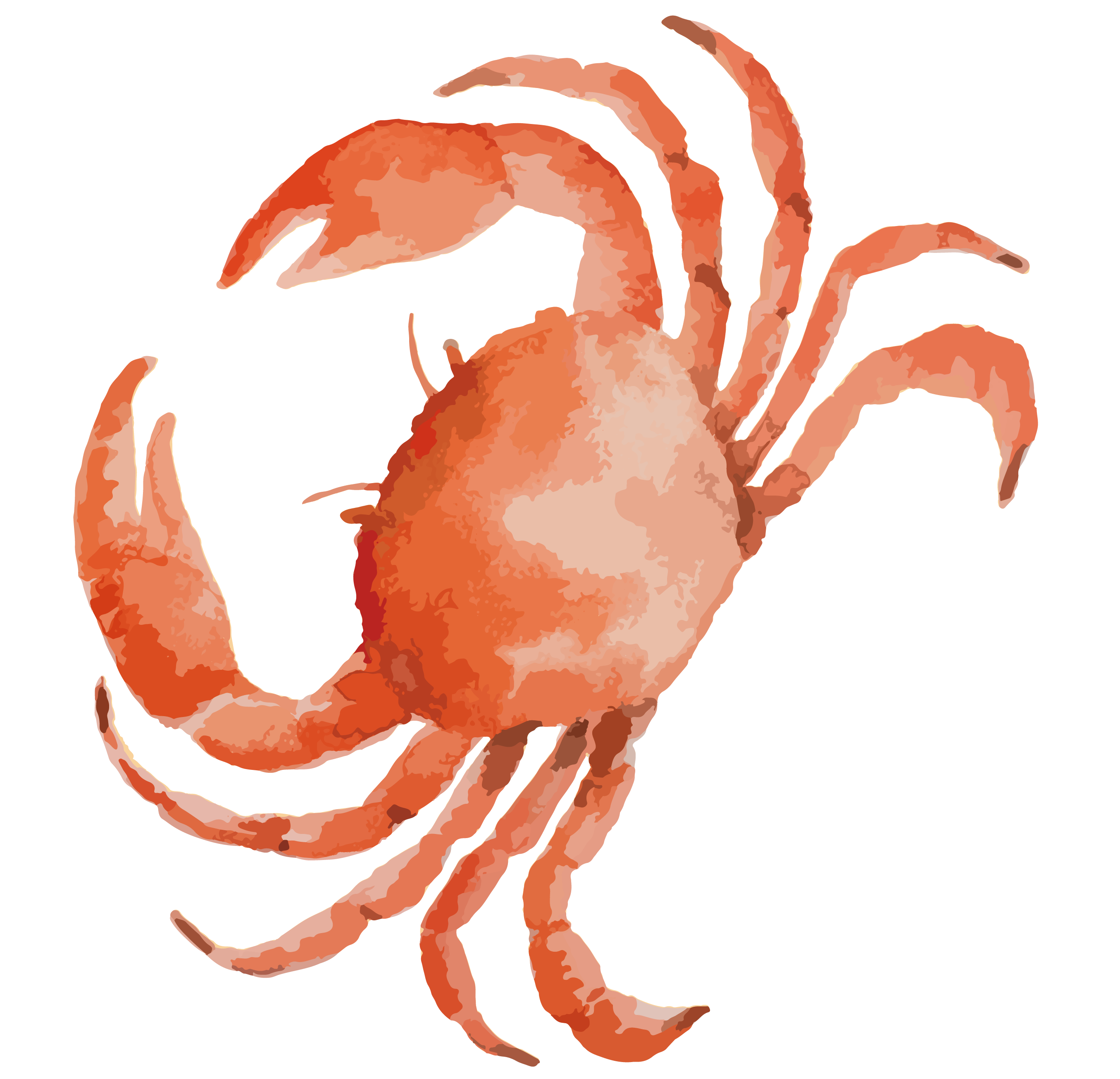Shellfish Drawing Free download on ClipArtMag