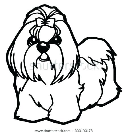 Shih Tzu Drawing | Free download on ClipArtMag