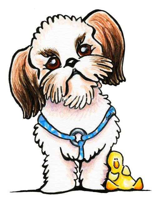 Collection of Shih clipart | Free download best Shih clipart on