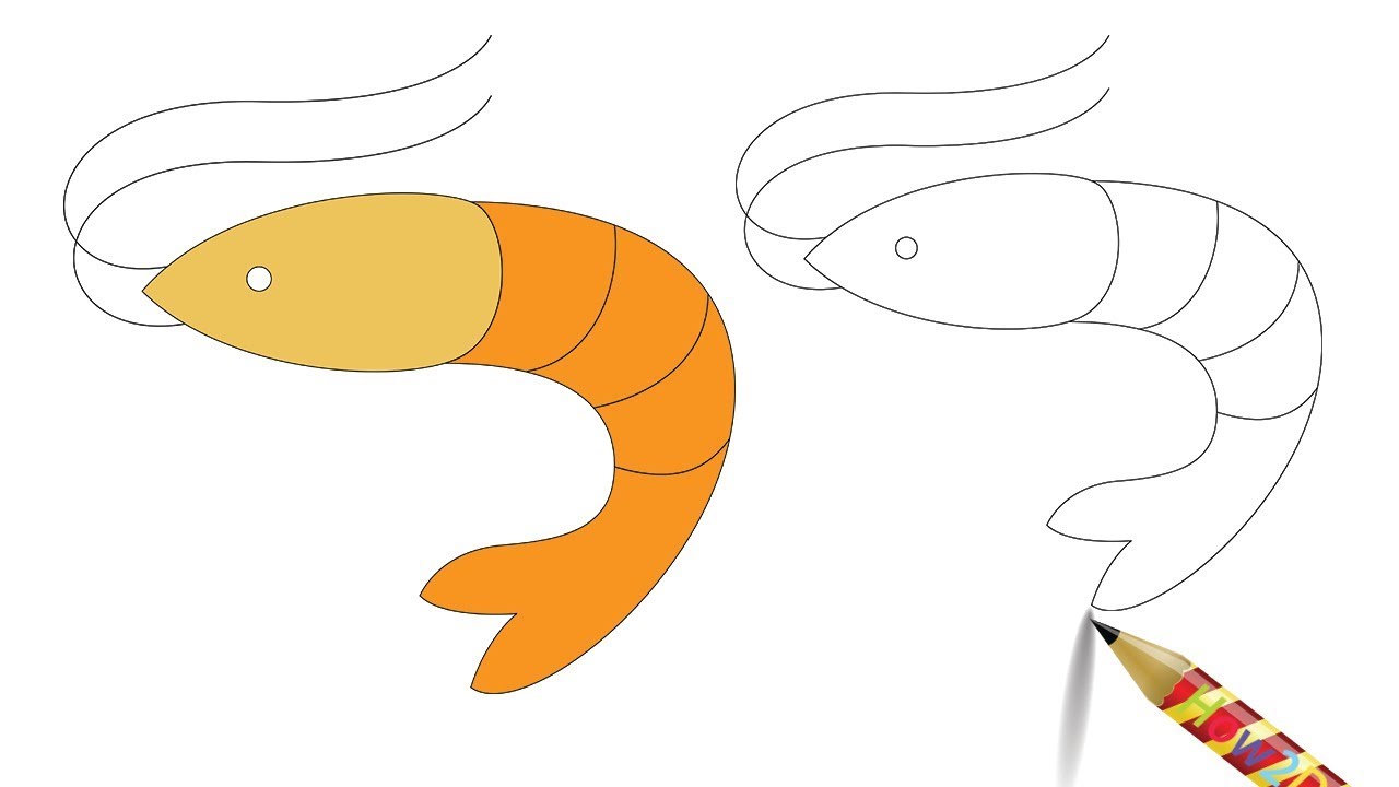 Shrimp Drawing | Free download on ClipArtMag