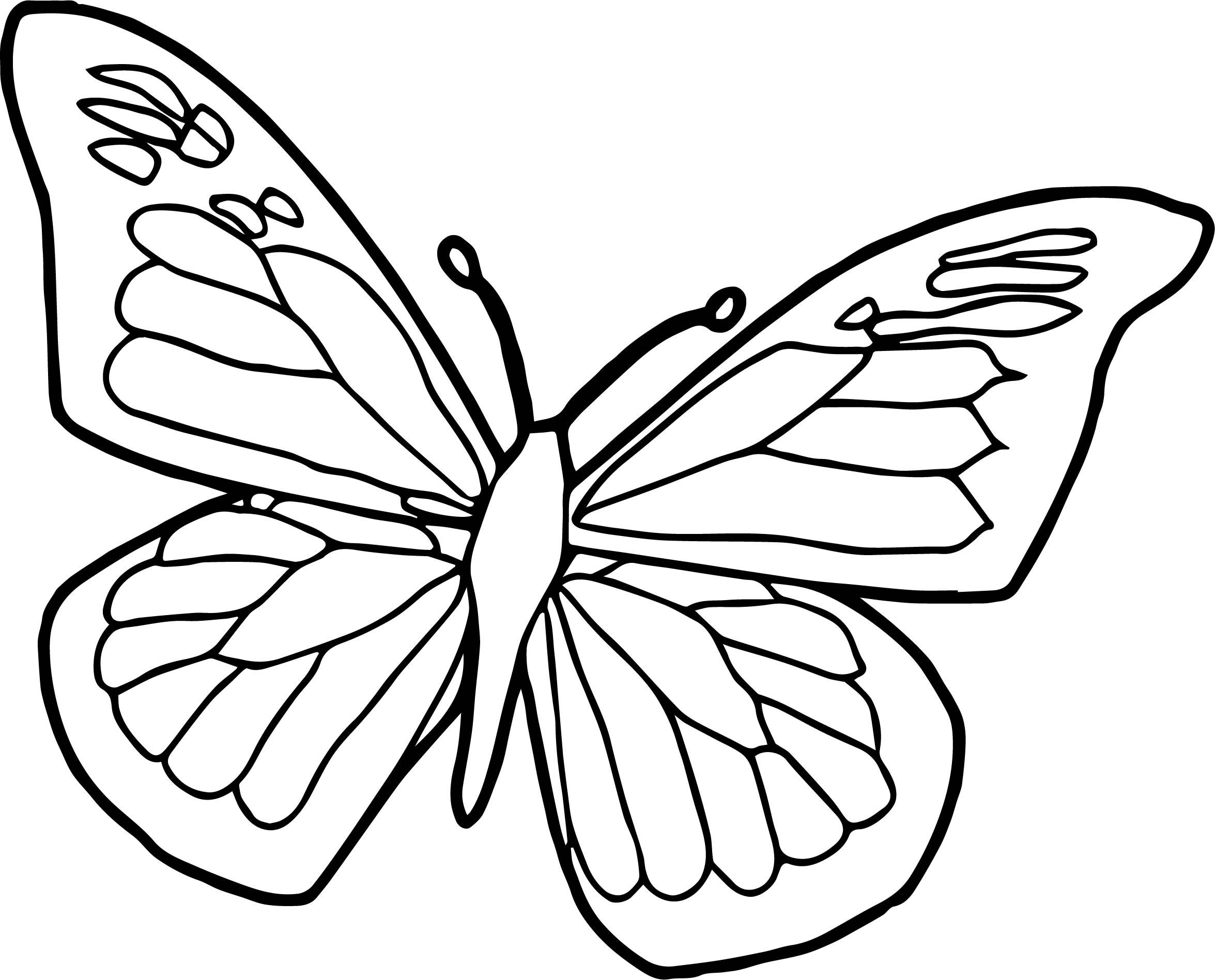 Simple Butterfly Drawing | Free download on ClipArtMag