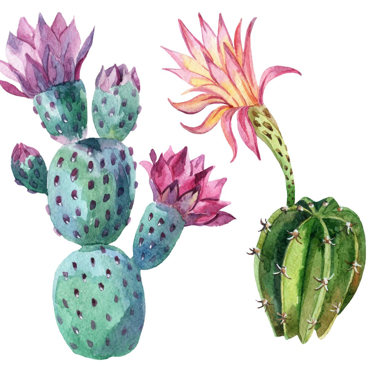 Simple Cactus Drawing | Free download on ClipArtMag