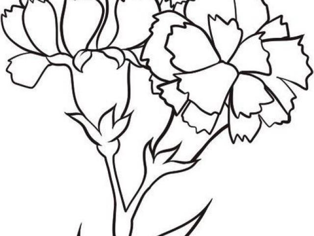 Simple Carnation Drawing | Free download on ClipArtMag