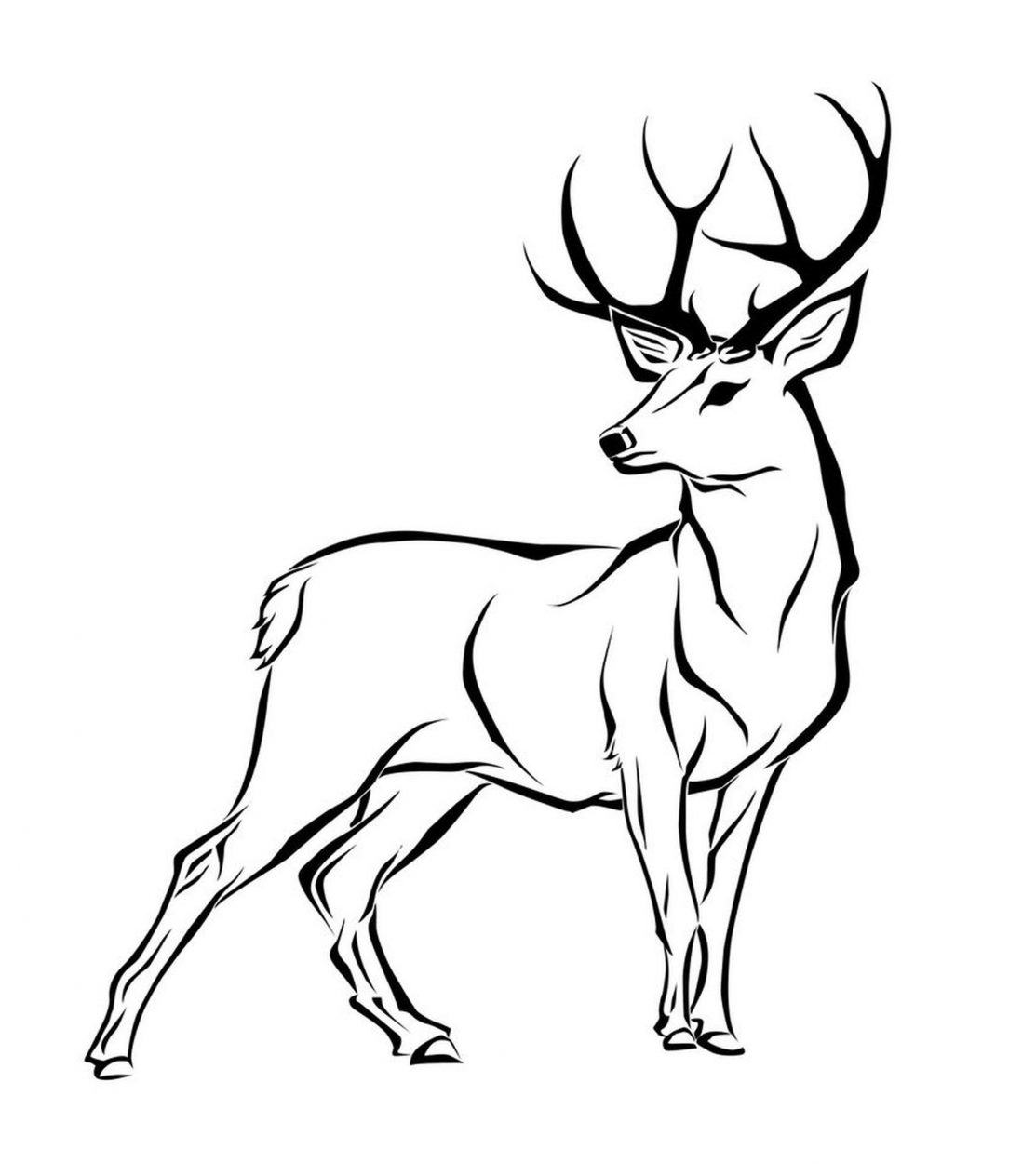 Simple Deer Skull Drawing | Free download on ClipArtMag