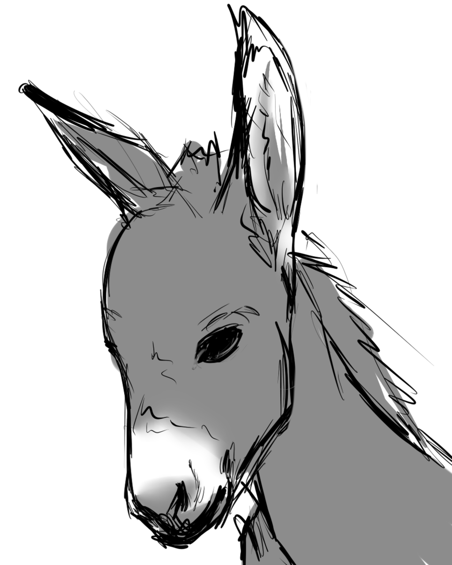 Simple Donkey Drawing | Free download on ClipArtMag