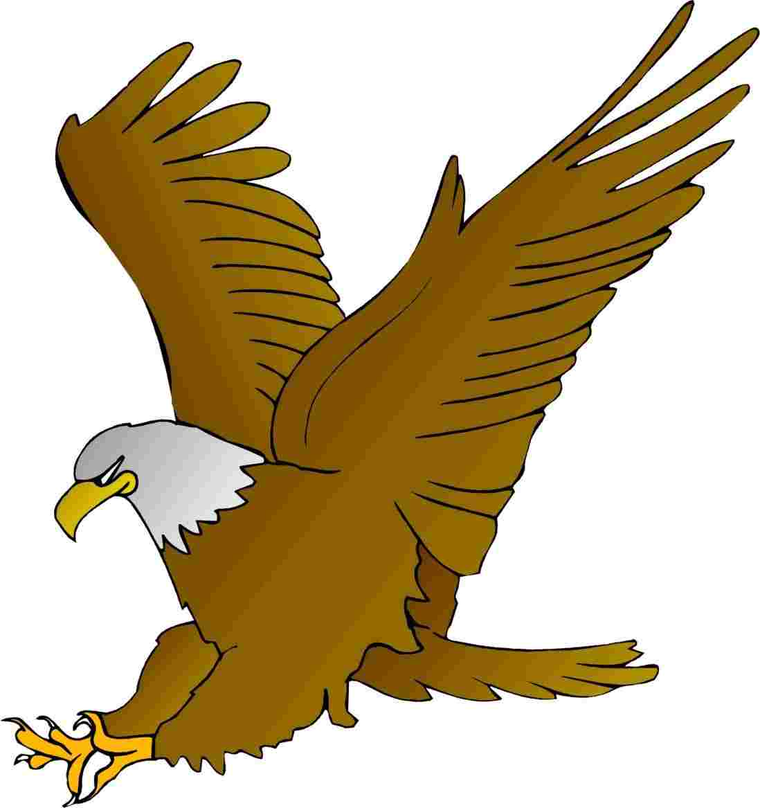 Simple Eagle Drawing Free download on ClipArtMag