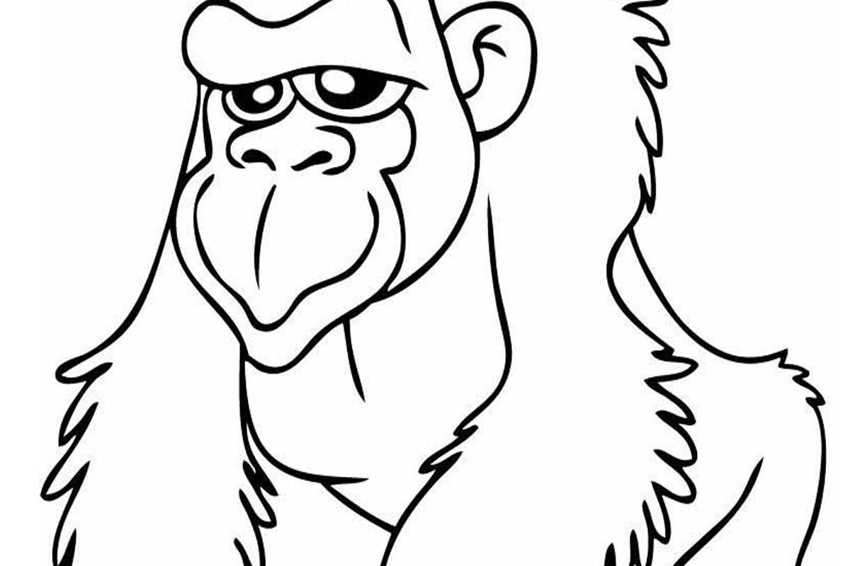 Simple Gorilla Drawing | Free download on ClipArtMag