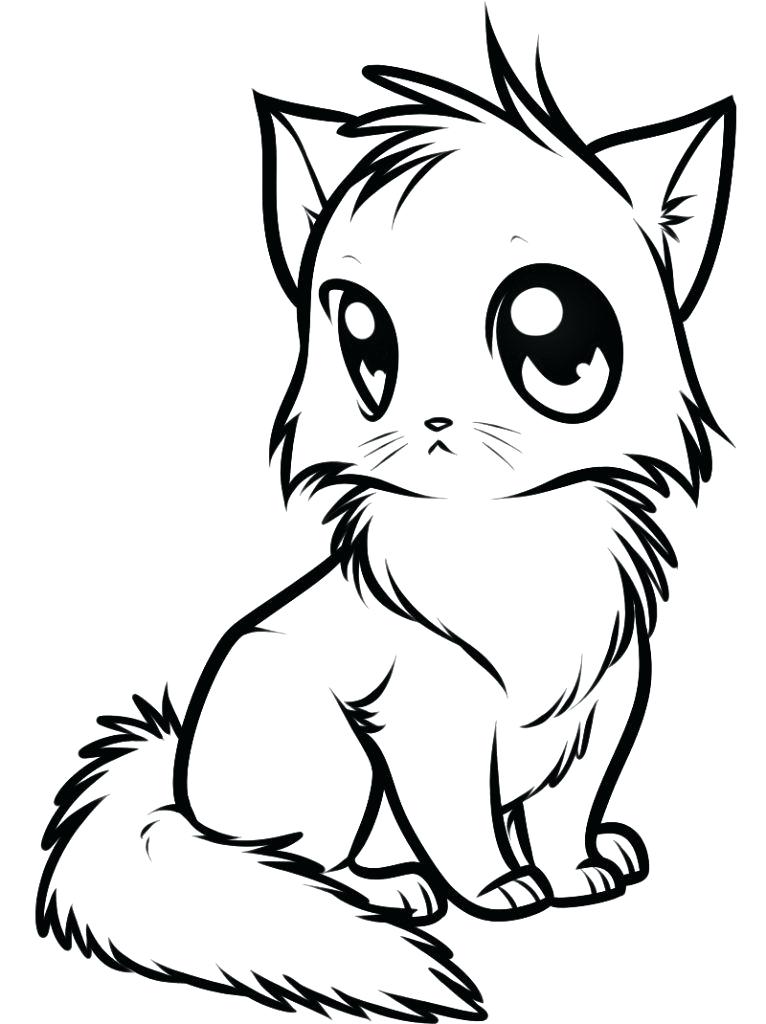 Simple Kitten Drawing | Free download on ClipArtMag