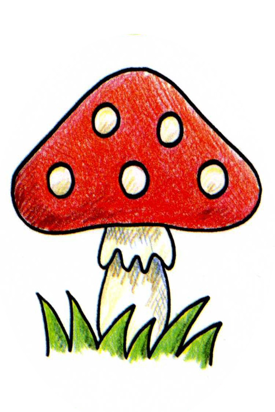 Simple Mushroom Drawing 