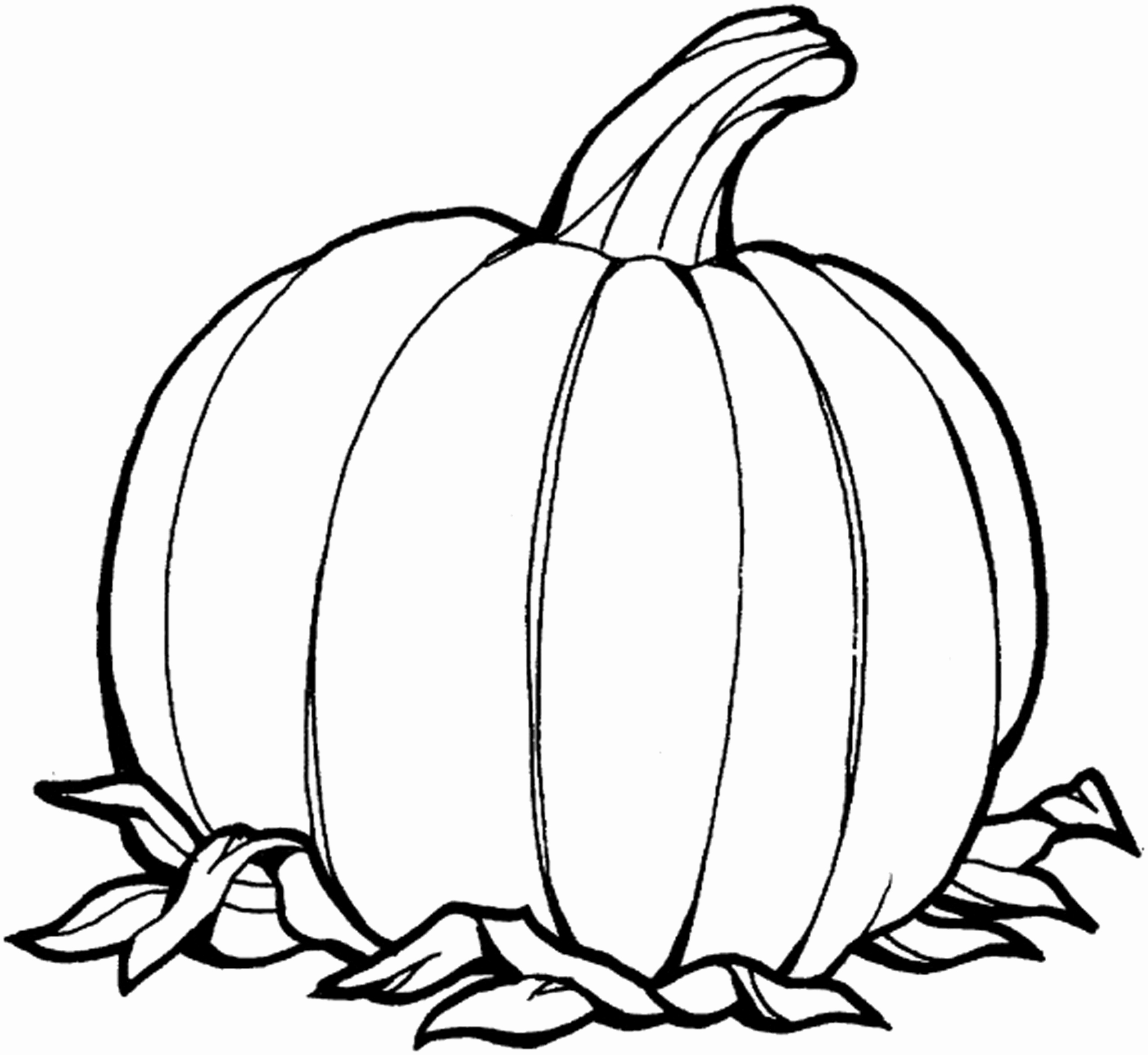 Simple Pumpkin Drawing Free download on ClipArtMag