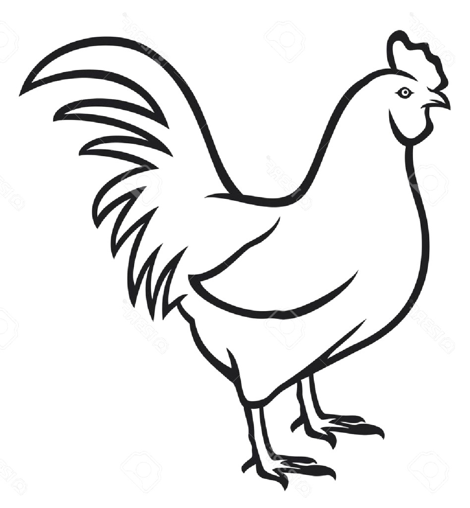 Simple Rooster Drawing Free download on ClipArtMag