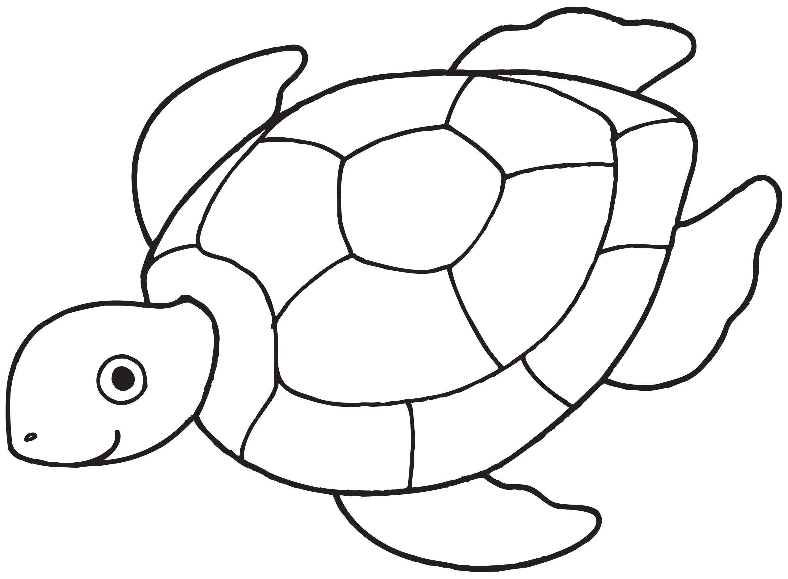 Simple Sea Turtle Drawing Free download on ClipArtMag