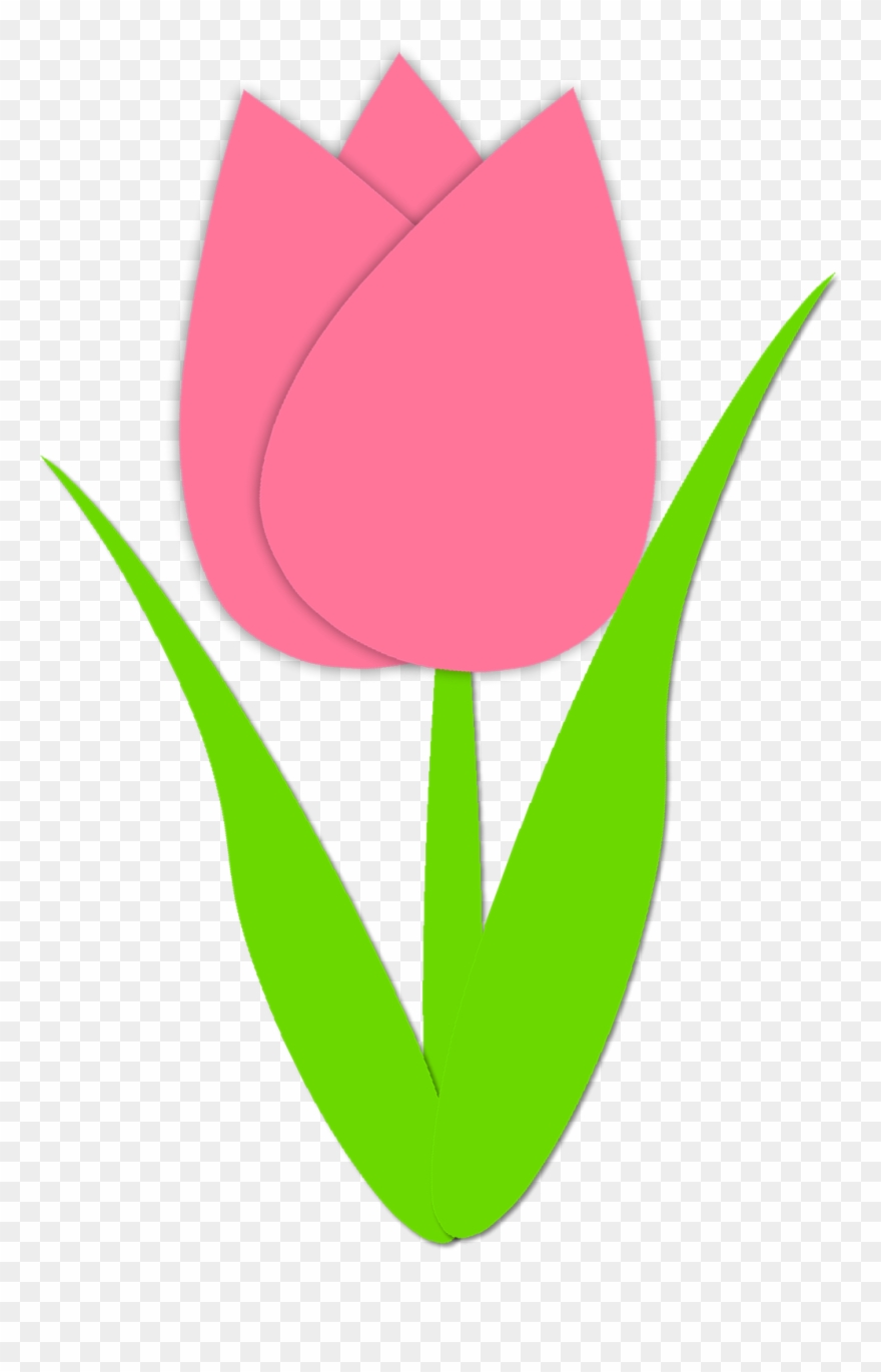 Simple Tulip Drawing Free download on ClipArtMag