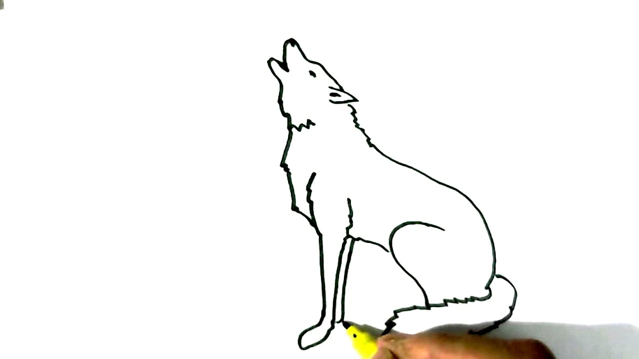 Simple Wolf Howling Drawing | Free Download On ClipArtMag