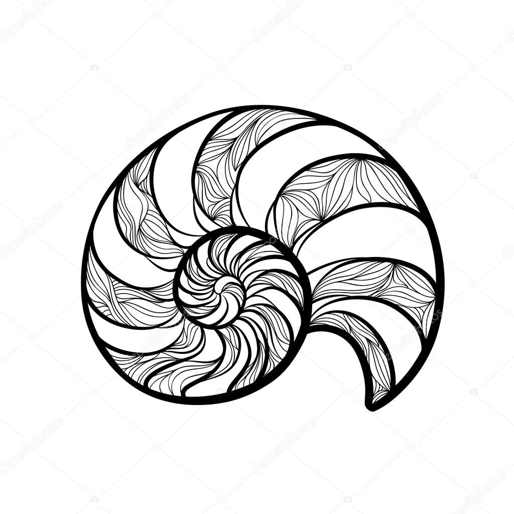 Snail Shell Drawing | Free download on ClipArtMag