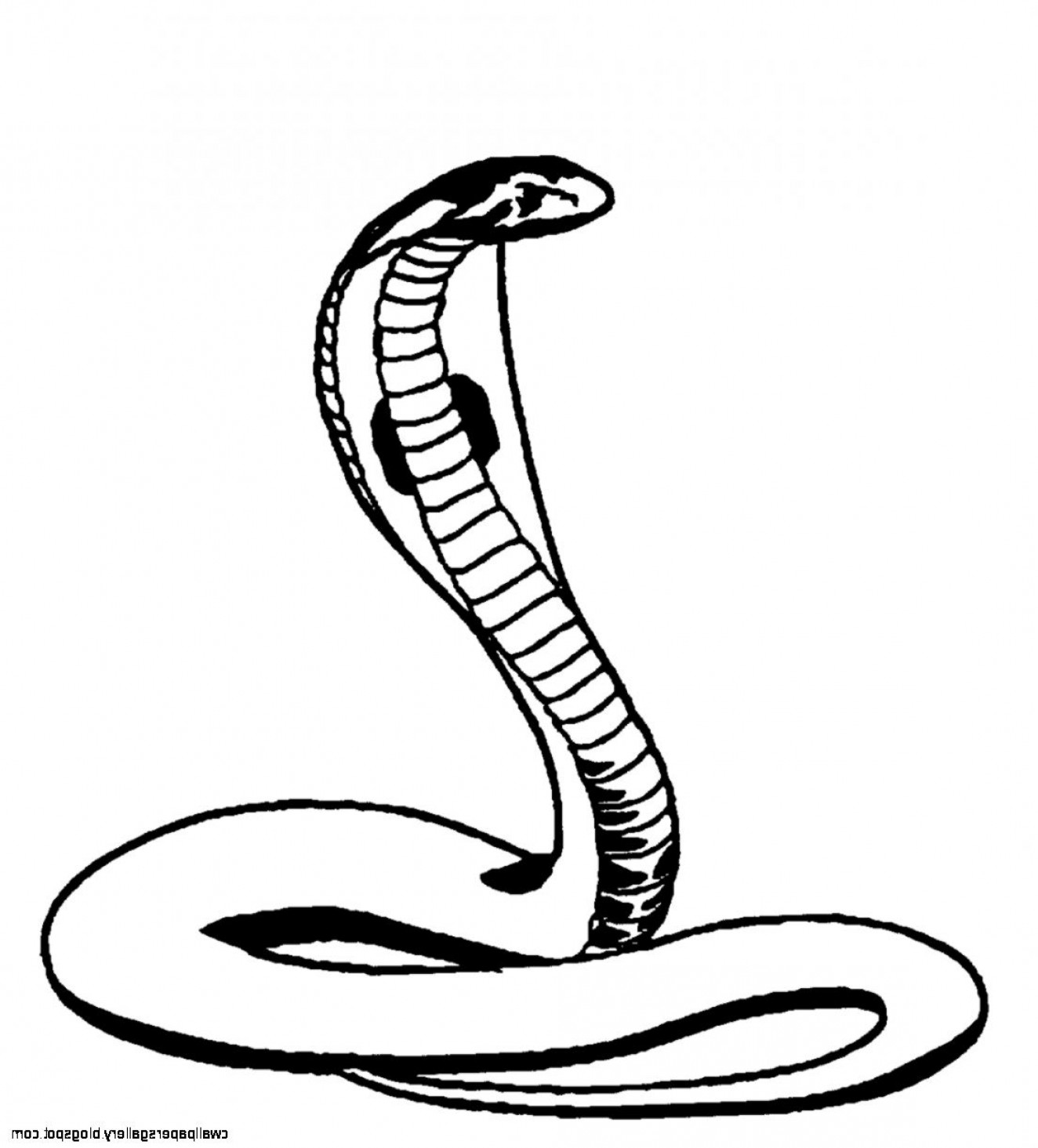 Snake Drawing | Free download on ClipArtMag
